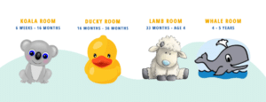 Koala Room - 6 weeks to 16 months. Ducky room - 16 months to 36 months. Lamb Room - 33 months to age 4. Whale room - ages 4 and 5.